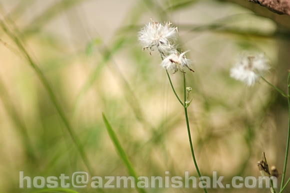 blog-2