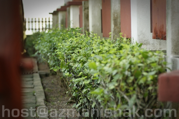 PPUM2