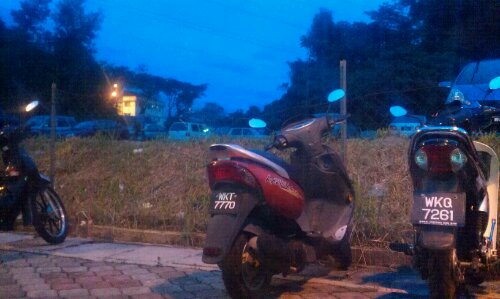 IMAG0499.jpg image