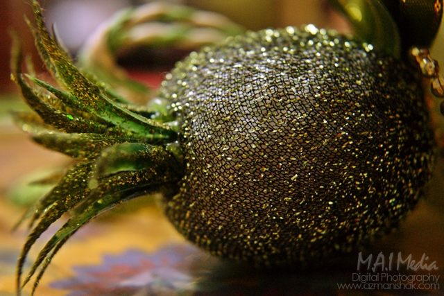 Kit-lense with Macro filter