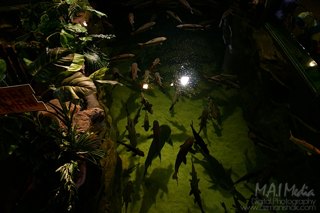 aquaria (4)