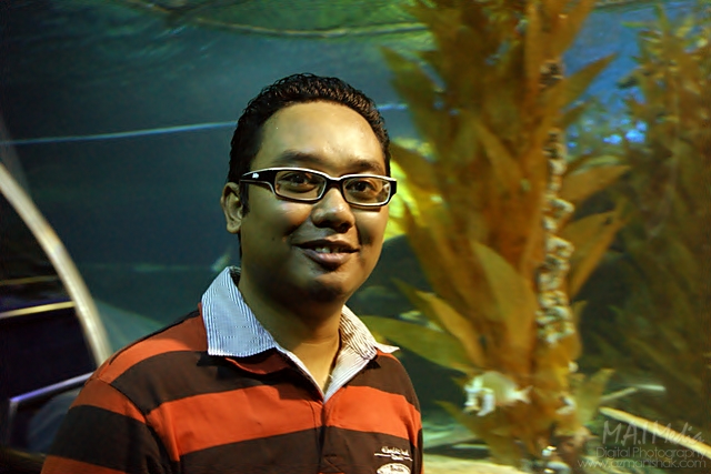 aquaria (9)