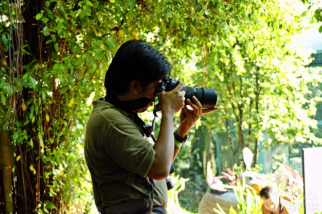 burung-5