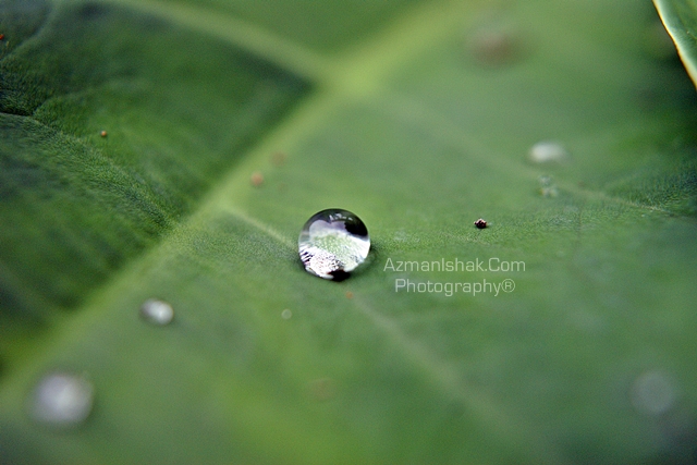 macro-4