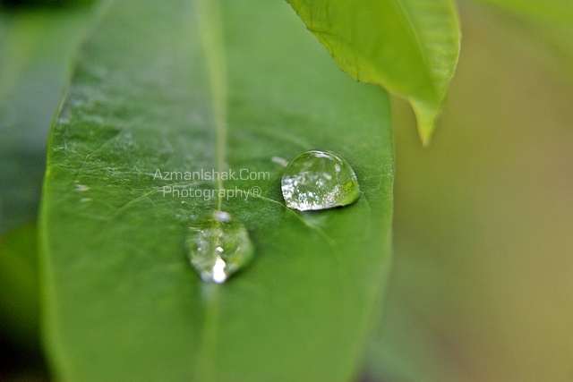macro-6