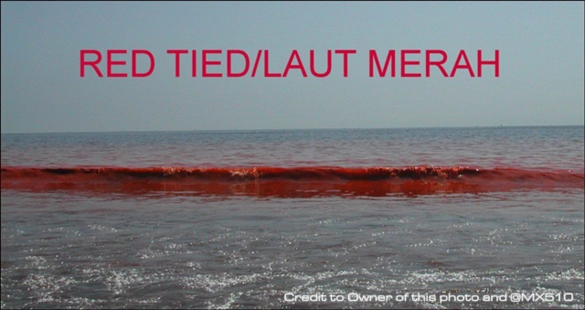Fenomena Air Laut Berwarna Merah dan sumber sahih.
