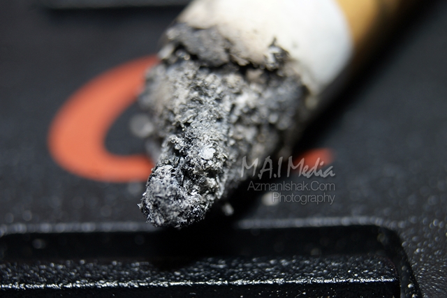 macro-foto-1