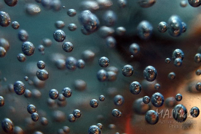 macro-foto-12