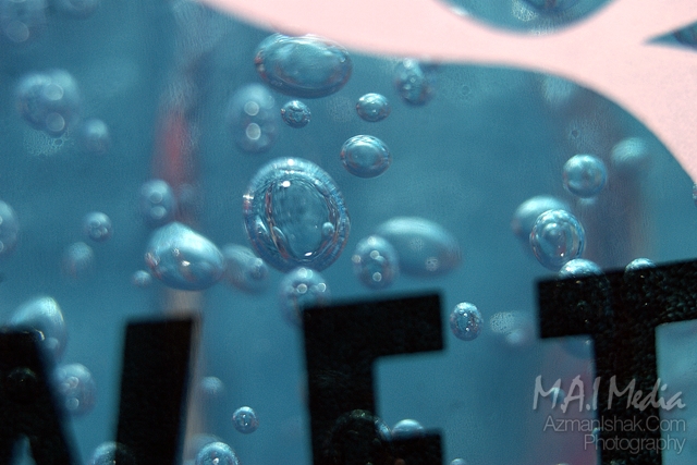 macro-foto-13
