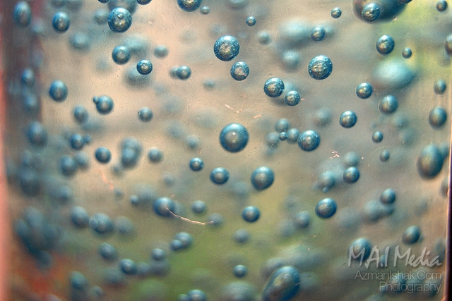 macro-foto-16