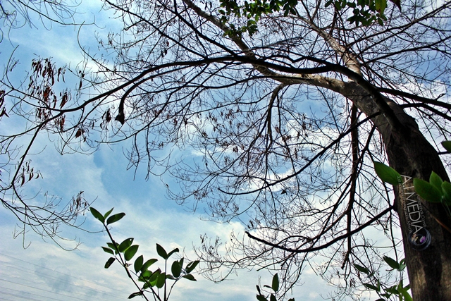 Raya-2012-Gurun-Kedah-007