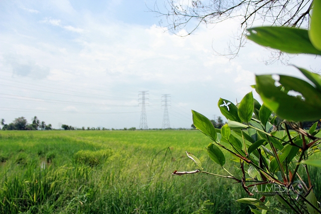Raya-2012-Gurun-Kedah-022