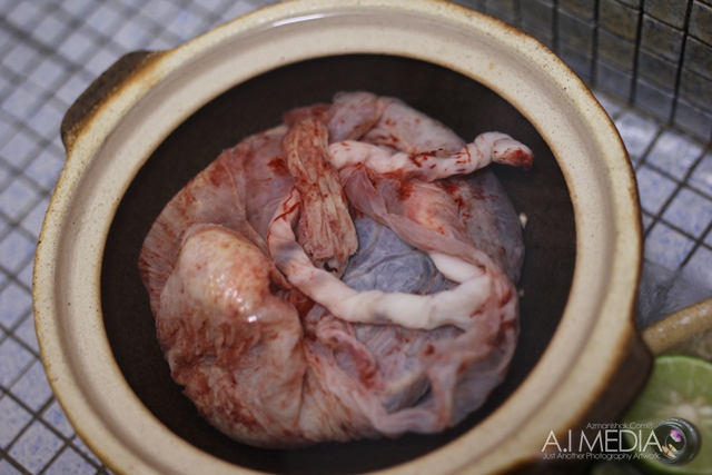 cara-cara-membasuh-placenta-uri-020