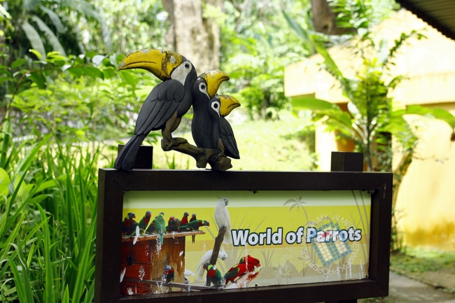 Dalam banyak-banyak keluasan Taman Burung, kandang burung kakak tua paling best.