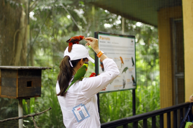 Ye.. ini burung "Burung Turki" Tapi dia tak jinak. hahaha.. kejap je dah hilang.