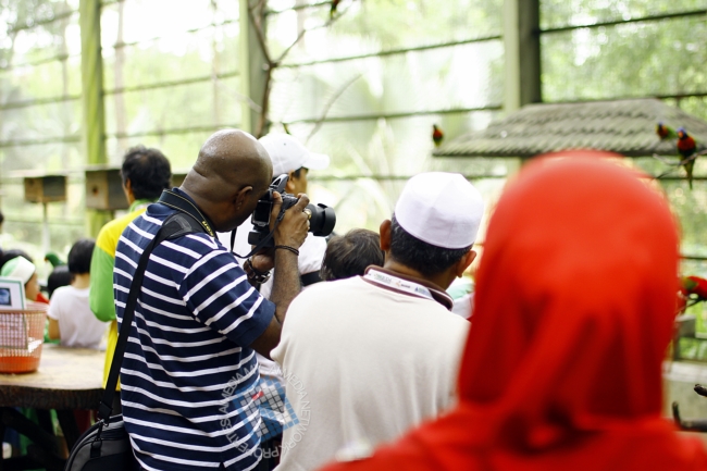 Silau ok. Kalau aku pakai aperture 16, forsure boleh dapat bintang flare bhahahaha...