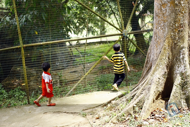 Dua orang sepupu yang tak boleh berenggan. Tapi bila dah berjumpa.. pening kepala dibuatnya