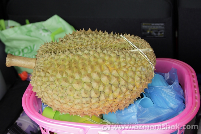 Ini bukan super impose. Kat bawah tu, bakul pinggan mangkuk untuk piknik. Besar tak doriannye?